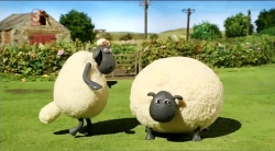 بره ناقلا (کلاغ)